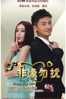 非缘勿扰(DVD版)