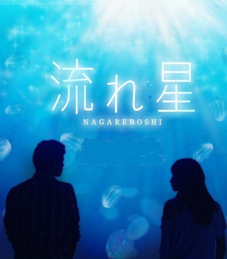 流星(2010)