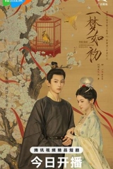 一梦如初2025 一梦如初2025